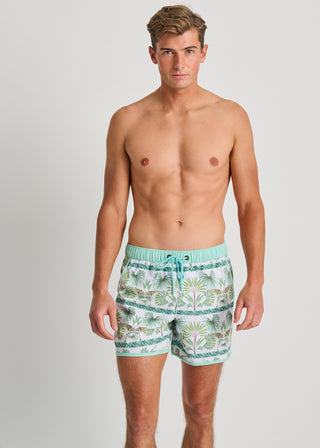 Maillot New Chino recyclé Cypress Tree